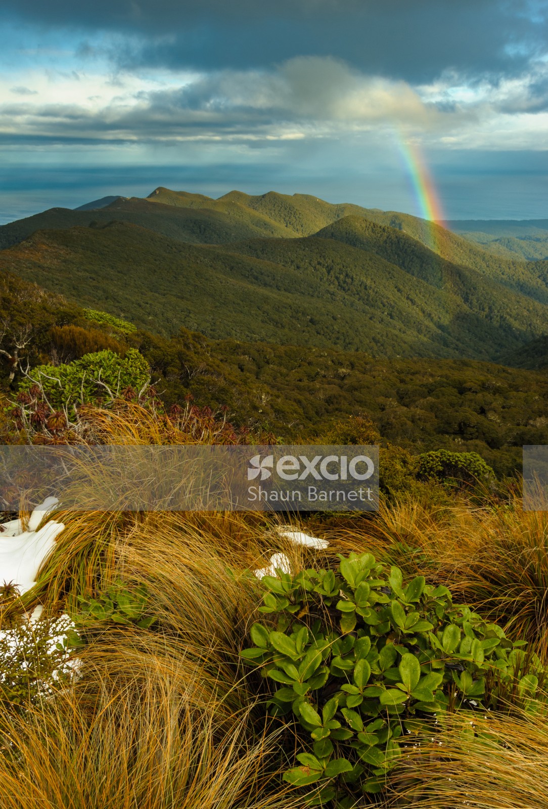 Rainbow, Hump Ridge Track, Fiordland