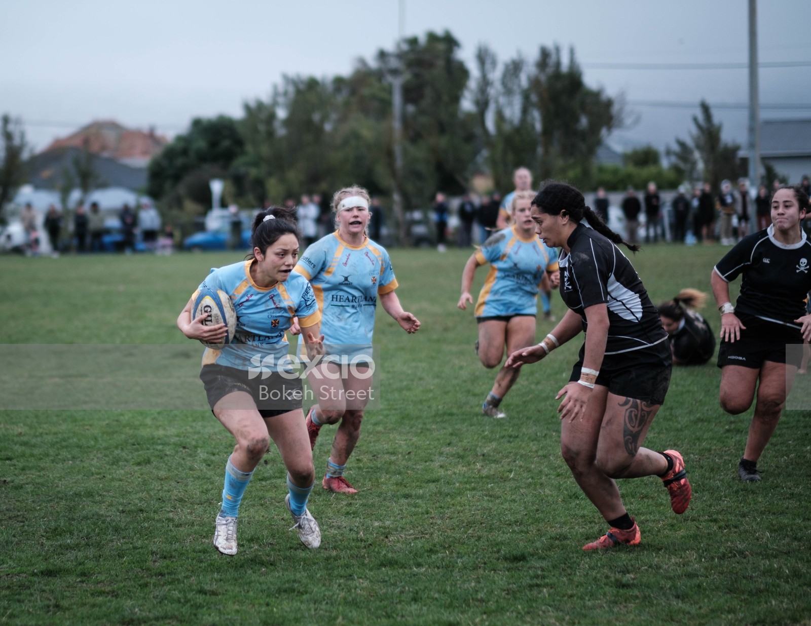 Women's Rugby Dunedin