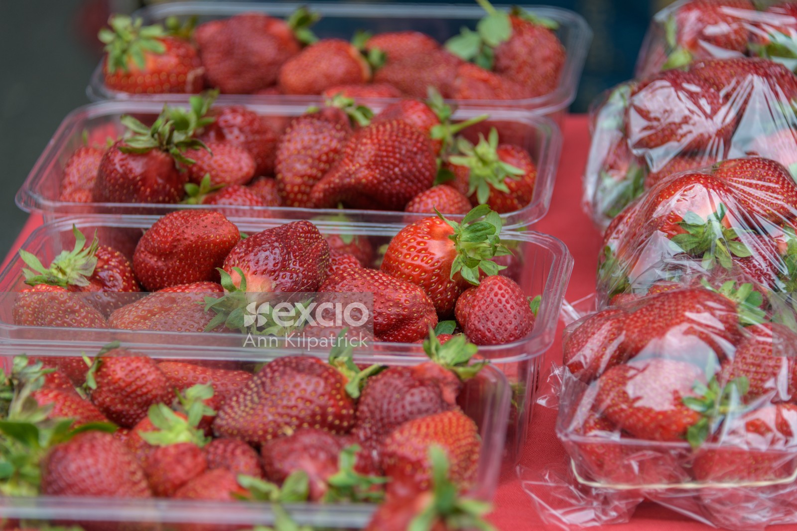 Fresh strawberries for sale