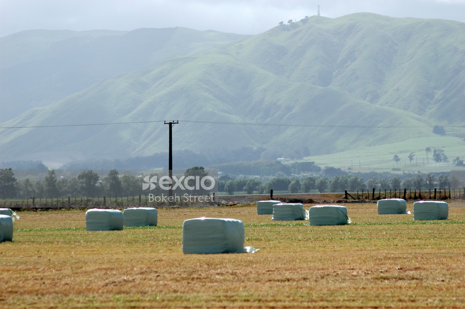 Packed hay bales at a field in New Zealand