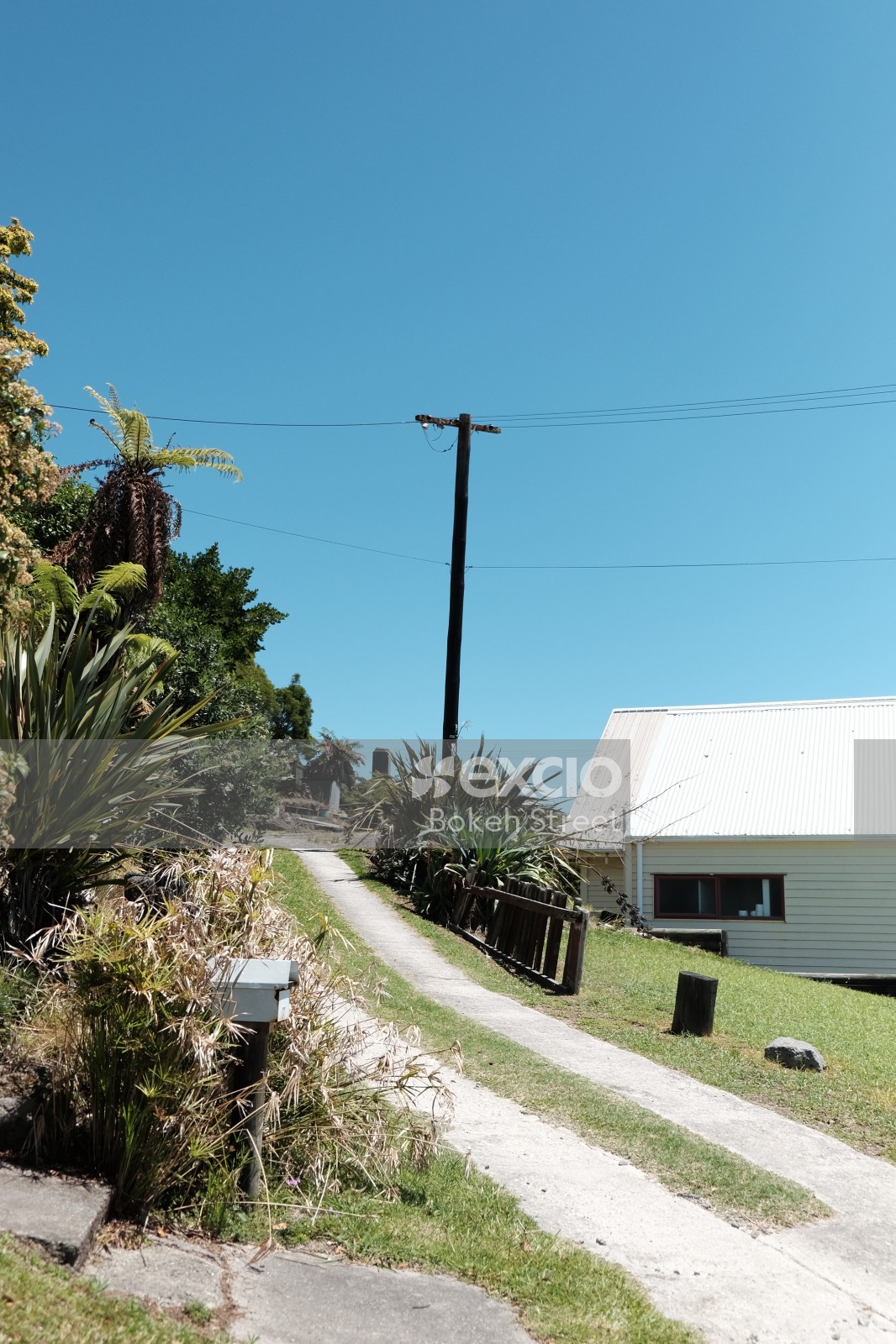 Plants pathway fence and electric pole at Whakarewarewa