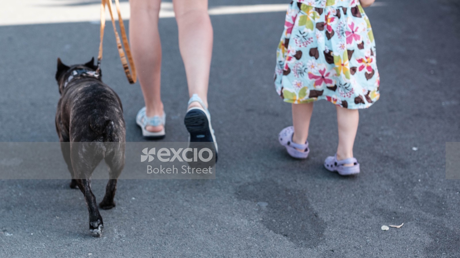 Mother and daughter walking with their little dog