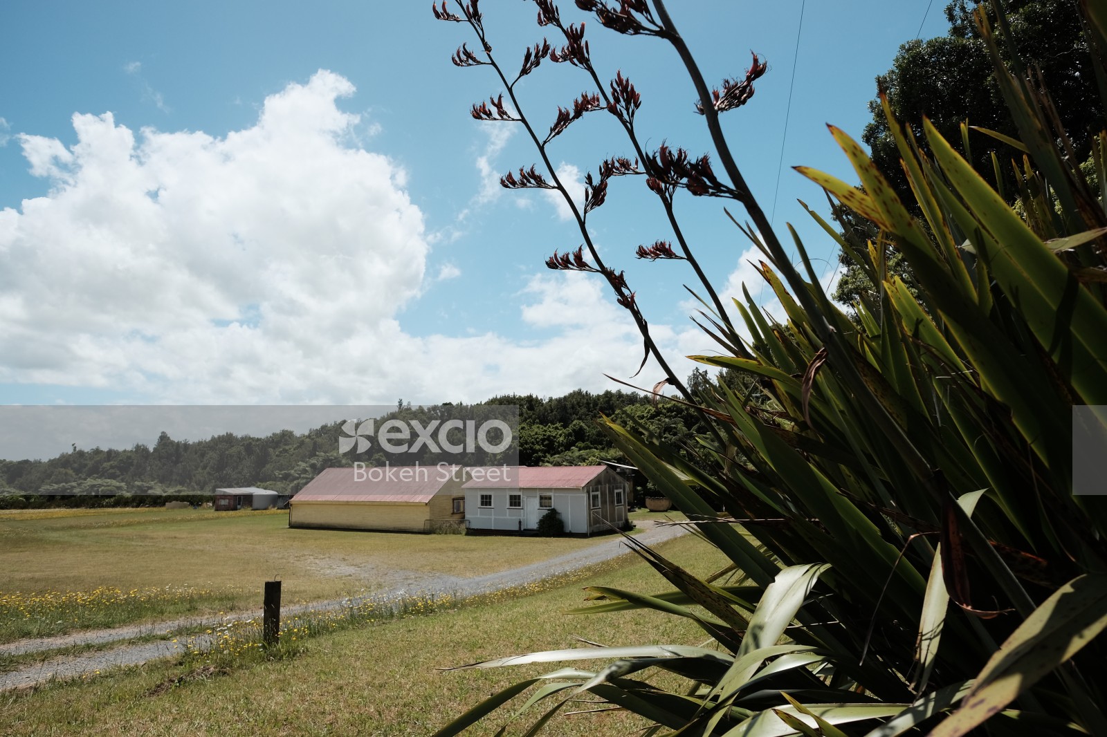 New Zealand flax Marae hut in a field