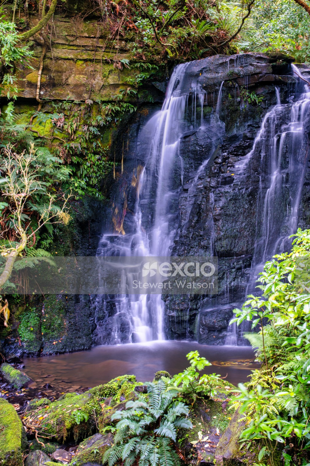 Twin falls in the Catlins