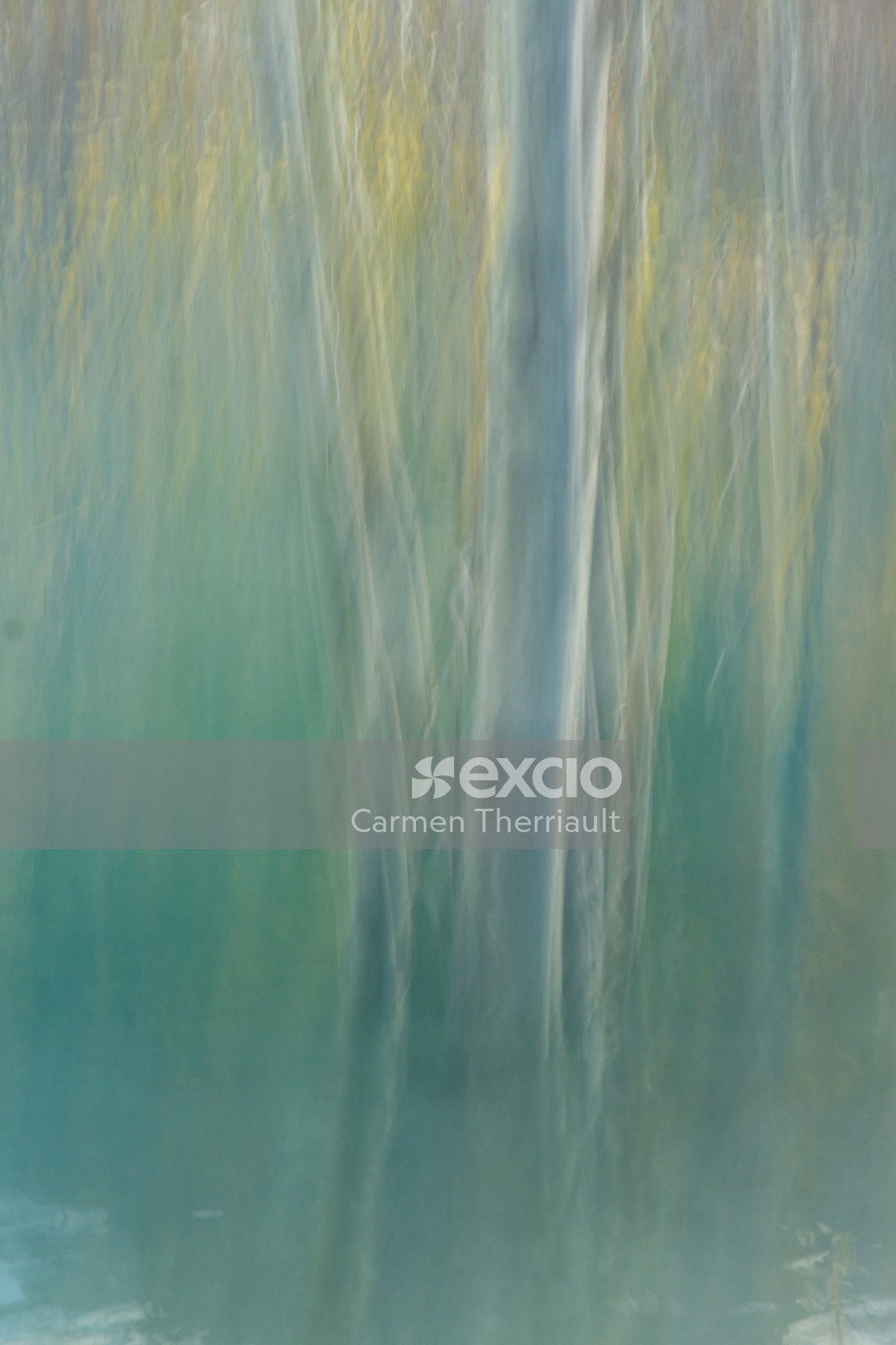 Abstract trees in water