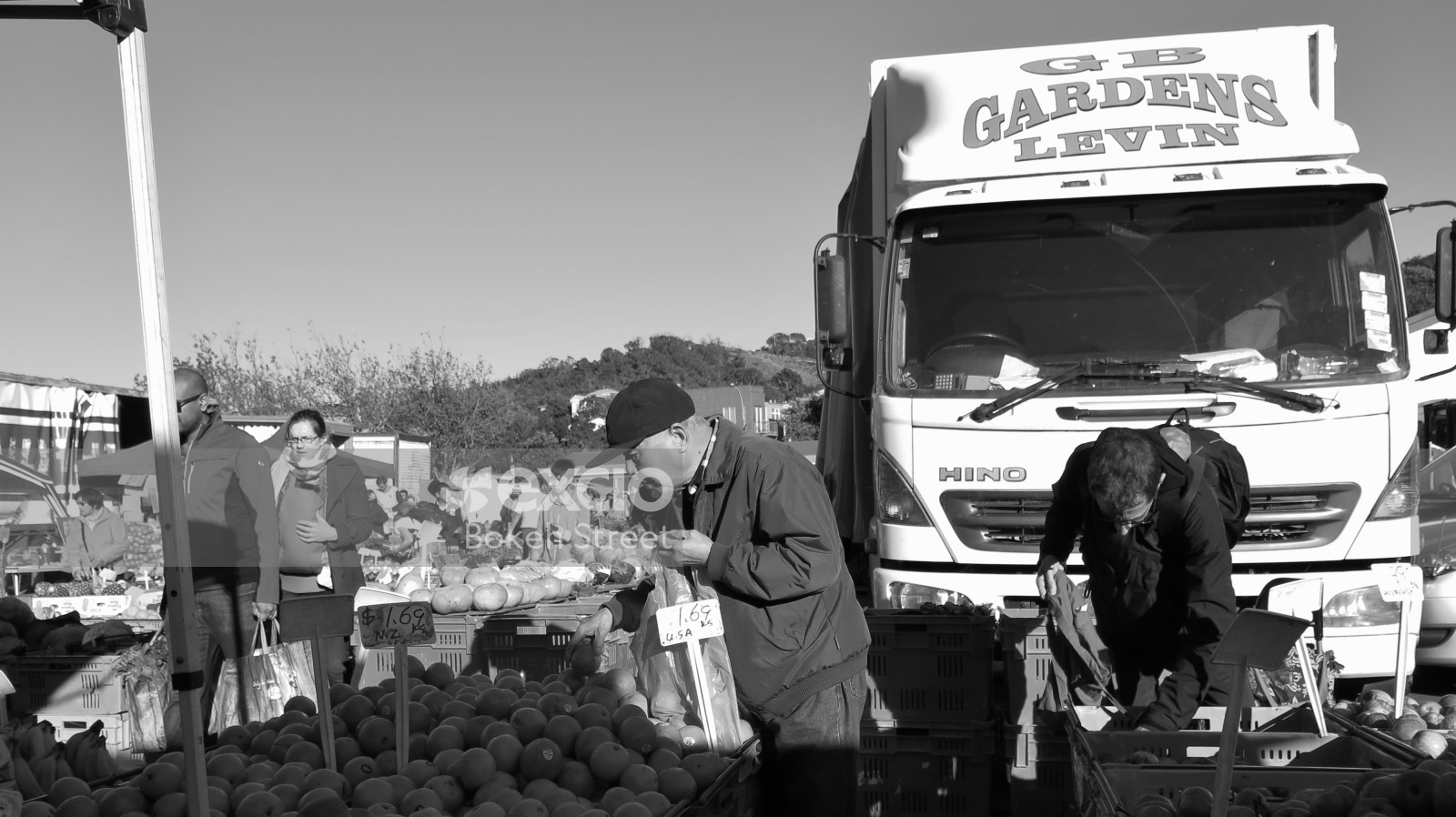 Customers picking fruit & vegetable at the local produce market monochrome