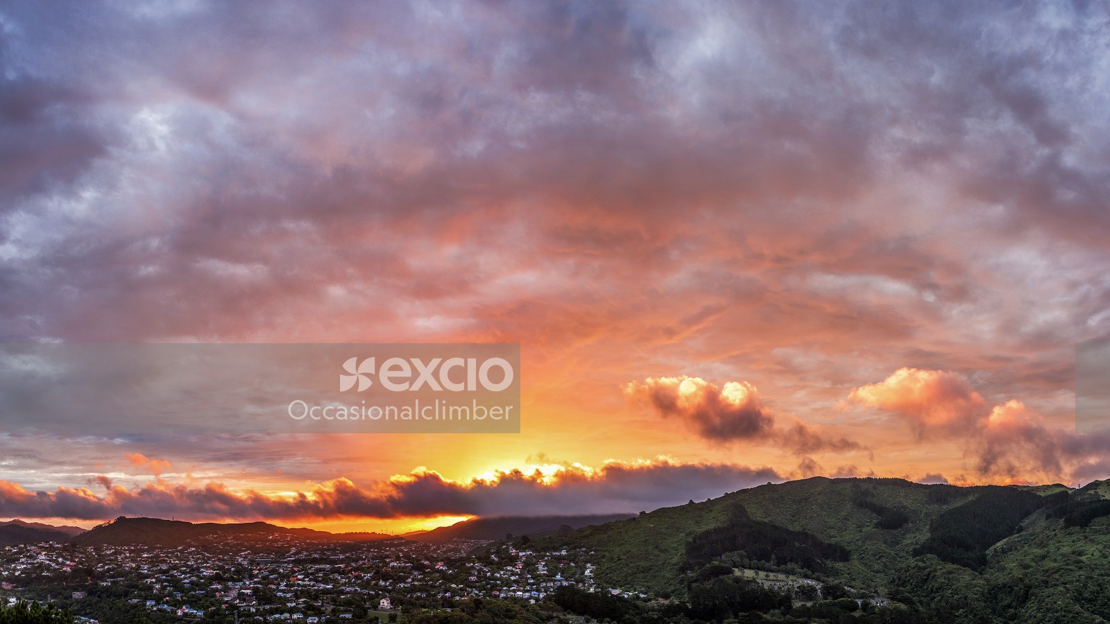 Wellington sunset