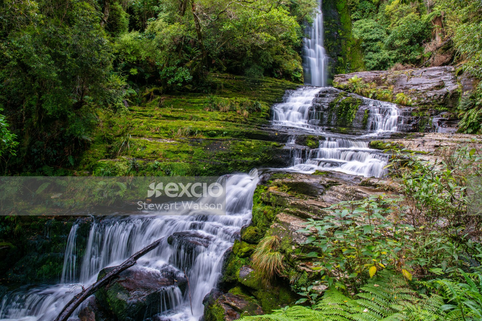McLean waterfall in the Catlins