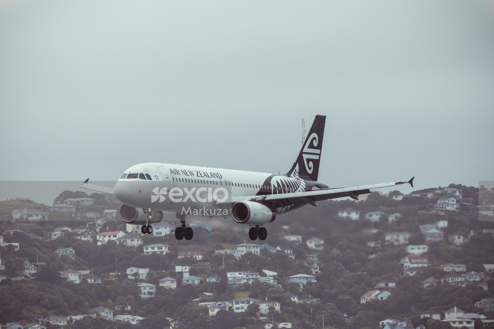 AIR NZ airplane over the sky of the city