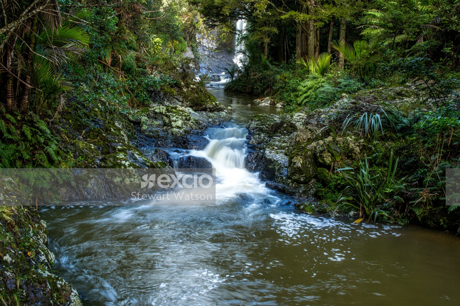 Down stream from the Piroa falls