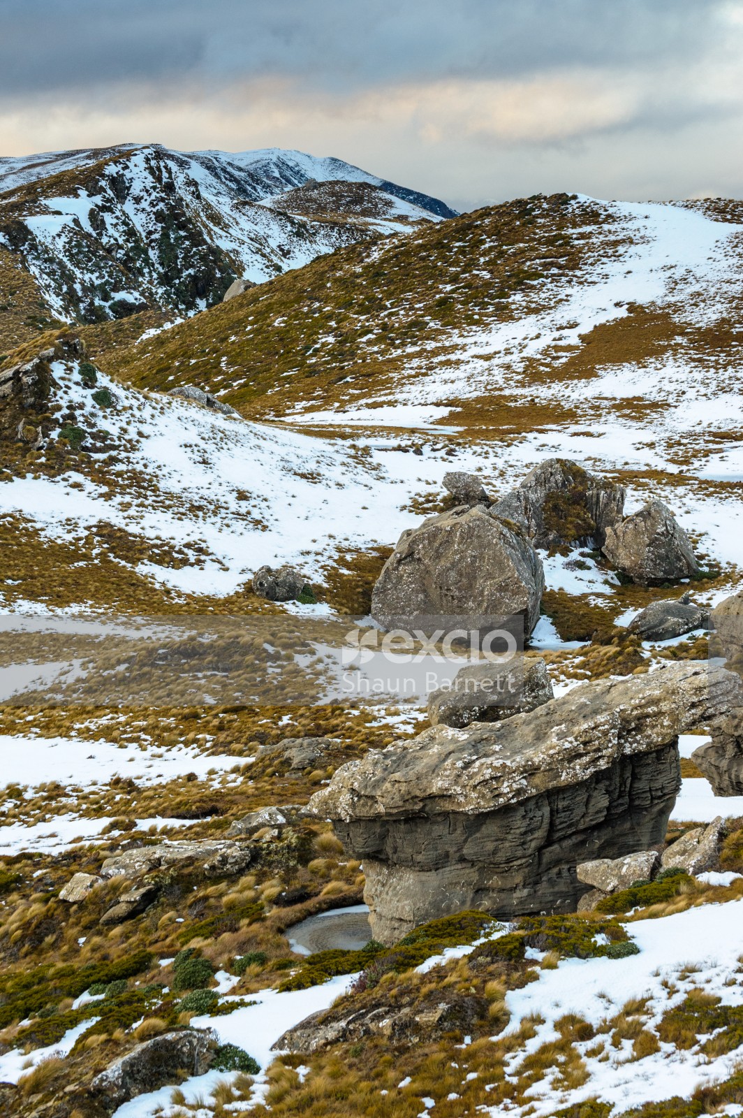 Rock tors, Hump Ridge, Fiordland