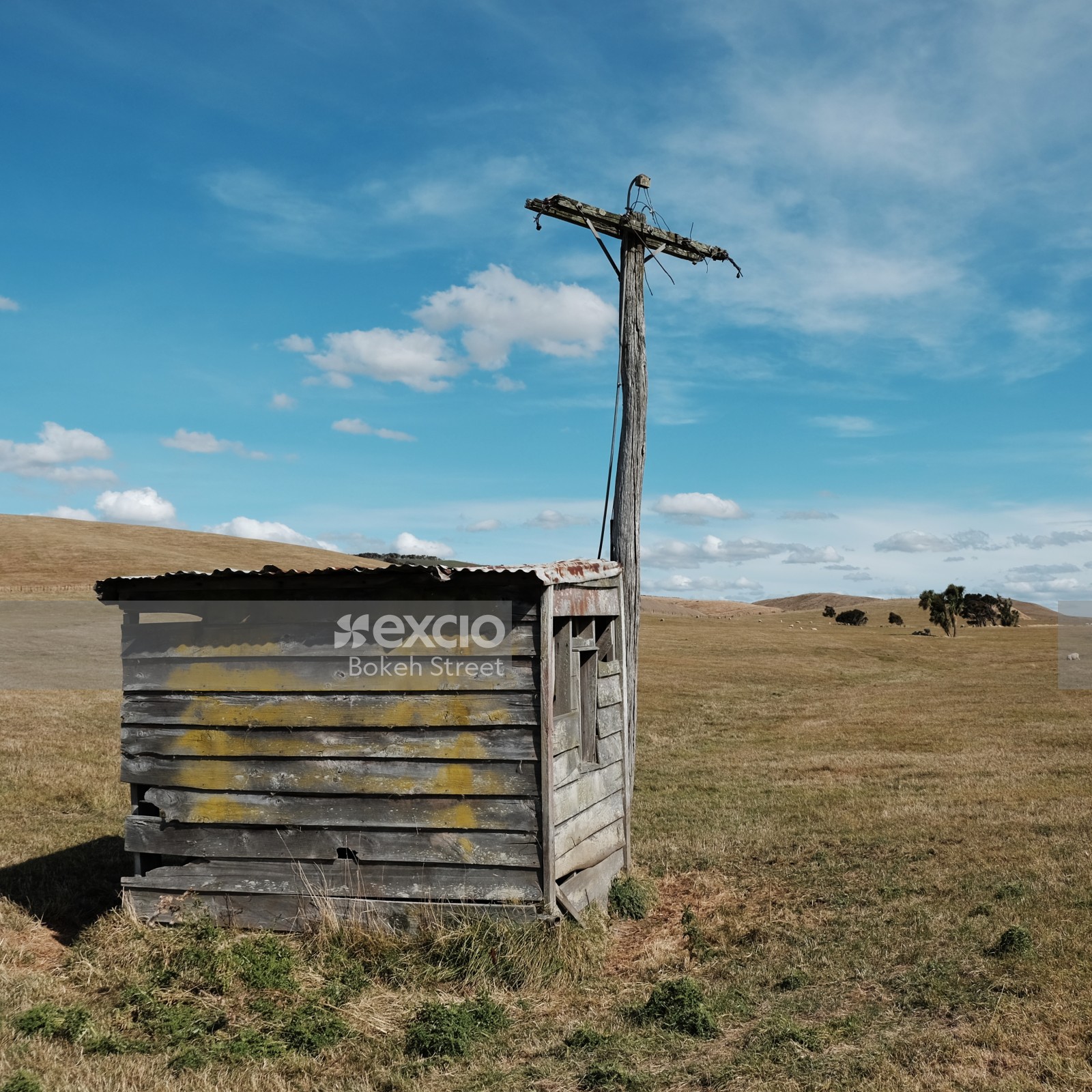 Small wood shack and powerless electric pole on a meadow in New Zealand