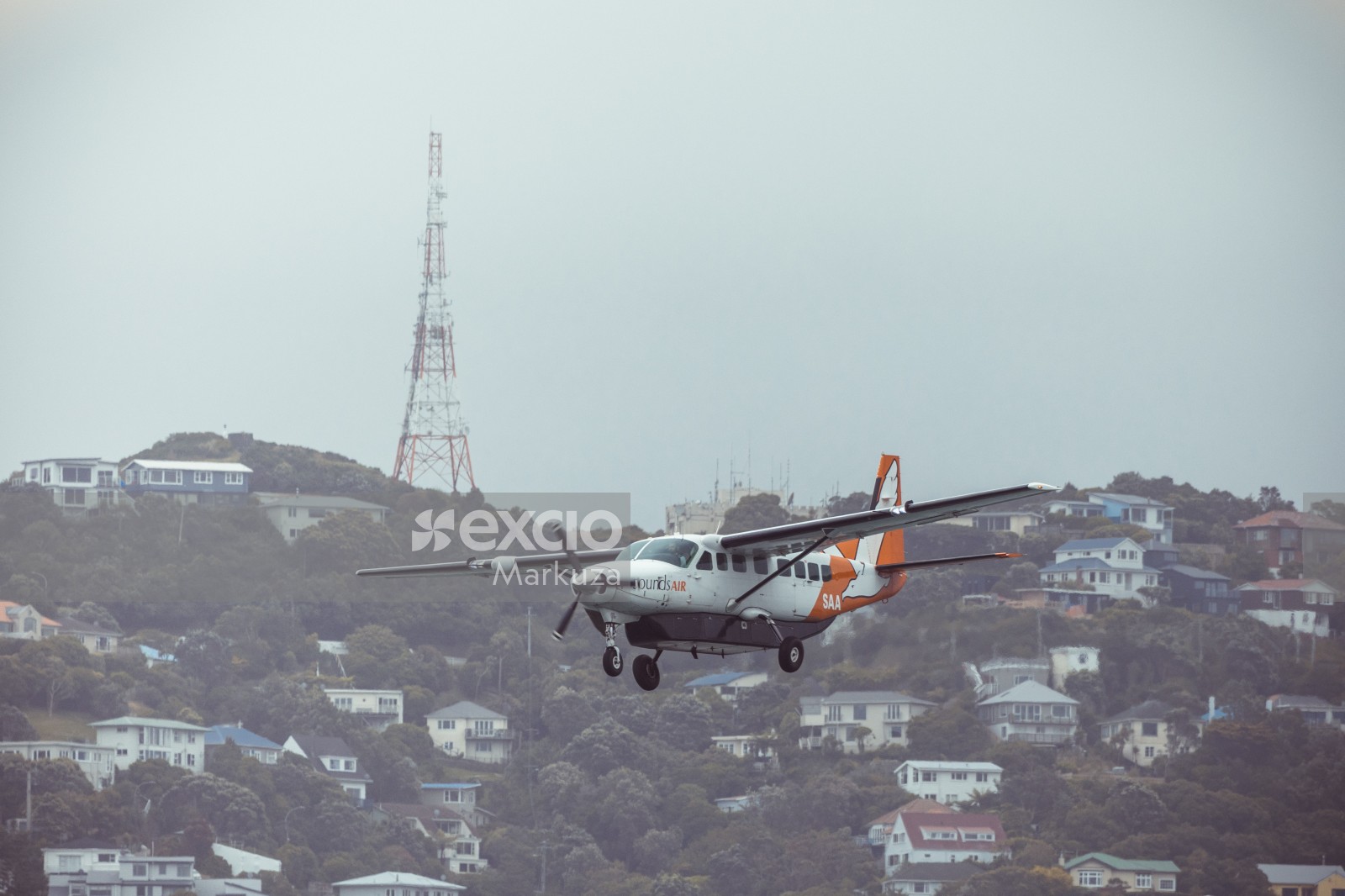 Private flight in Wellington