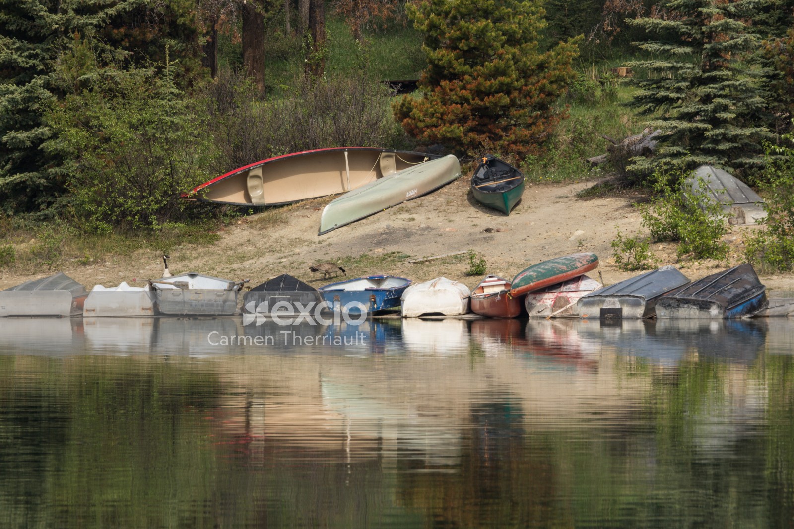 Reflected Rowboats
