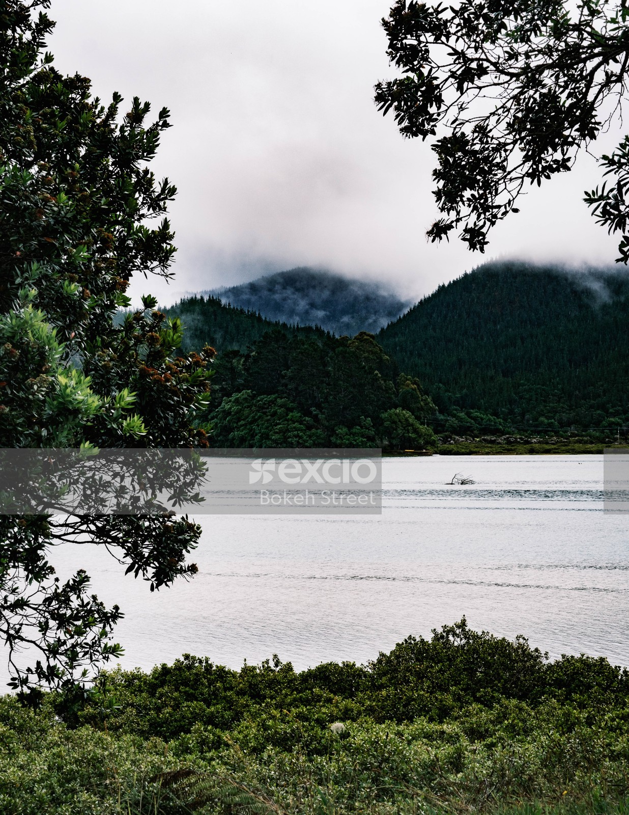 Pauanui water and wilderness