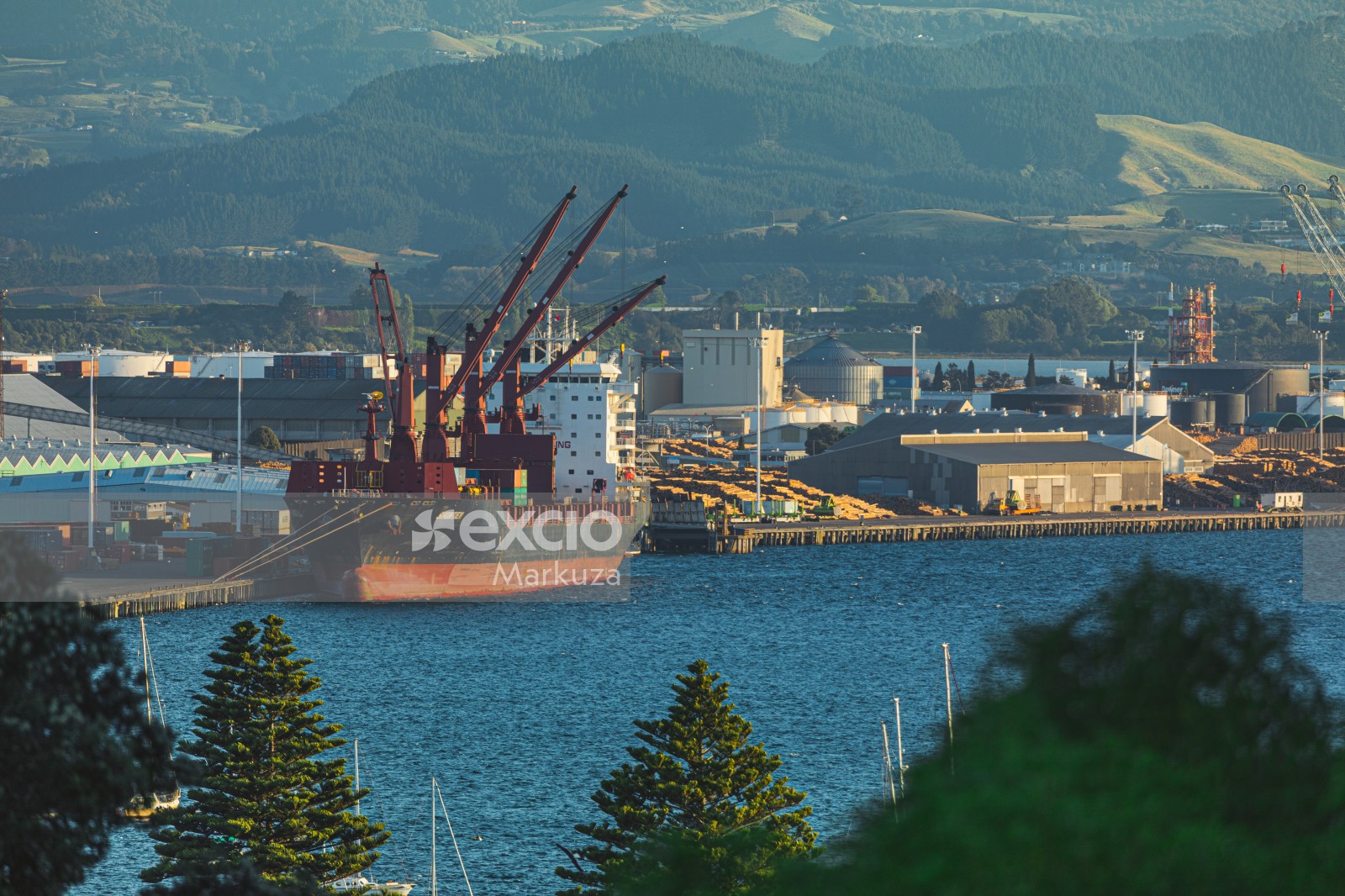 Cargo ship's cranes