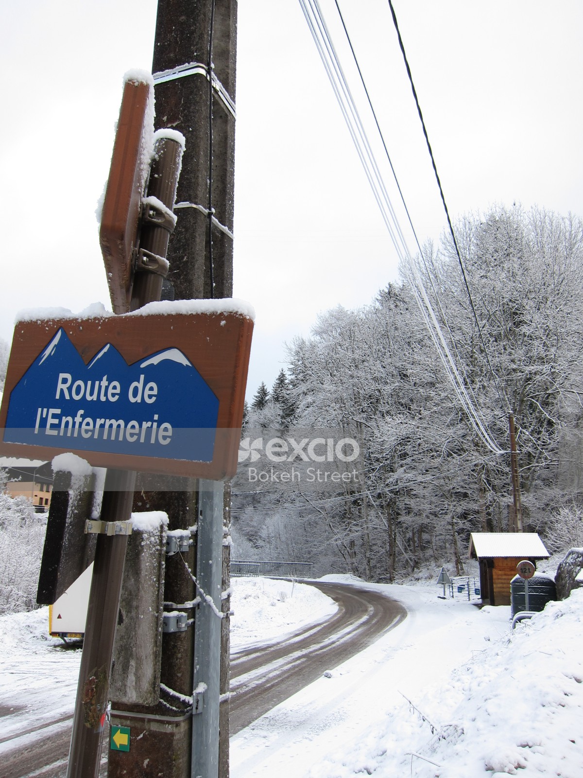 Snow covered road sign trees and utility pole at the Swiss Alps