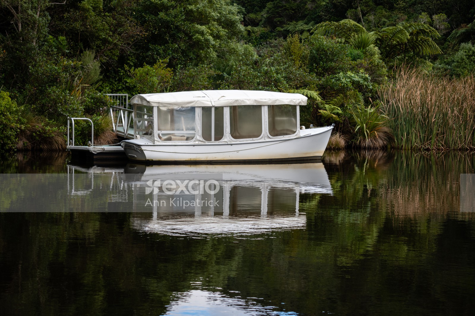 Ferry_Zealandia