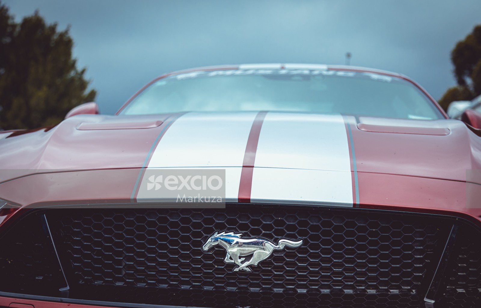 Striped Ford Mustang