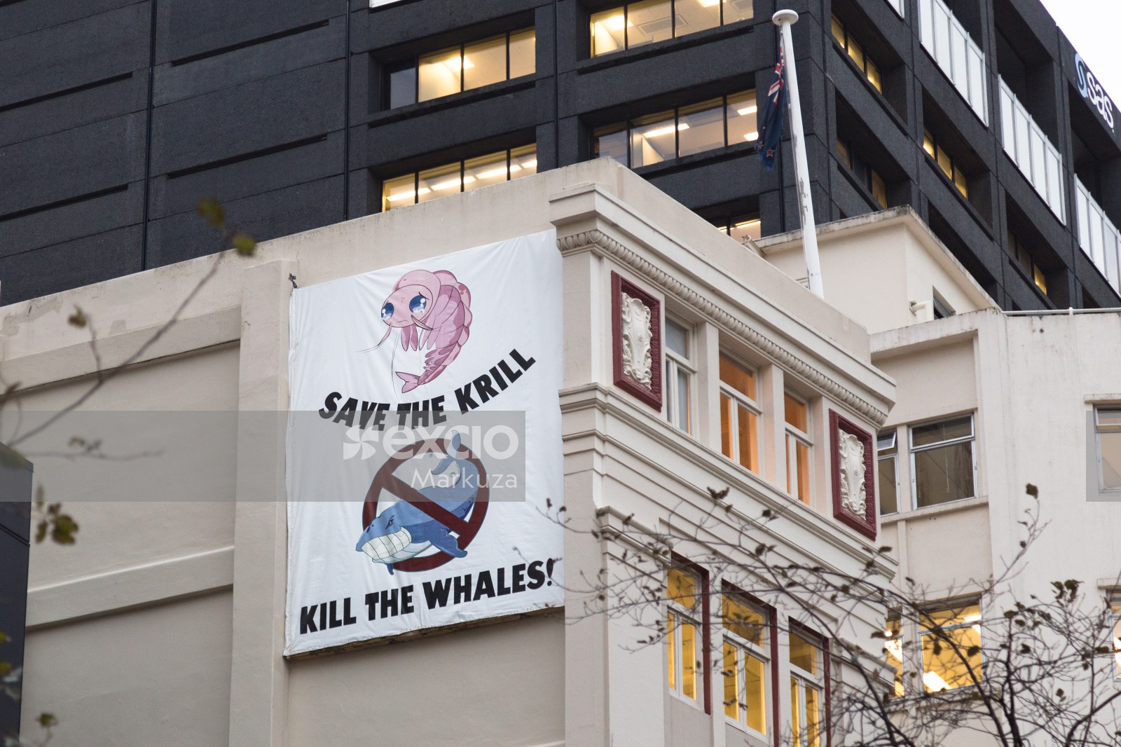 Save the krill! kill the whales banner