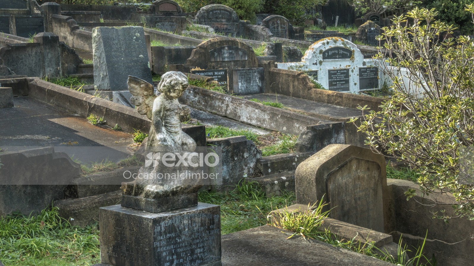  Karori Cemetery