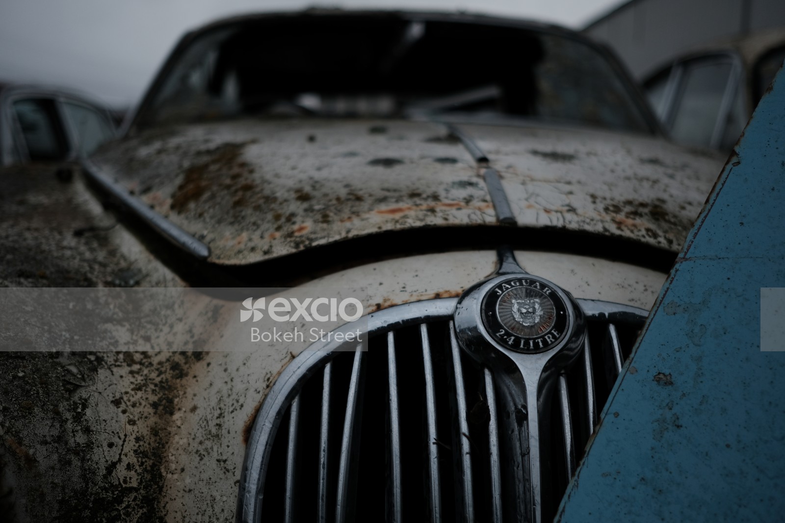 Abandoned classic white rusted mouldy Jaguar grille in Christchurch bokeh