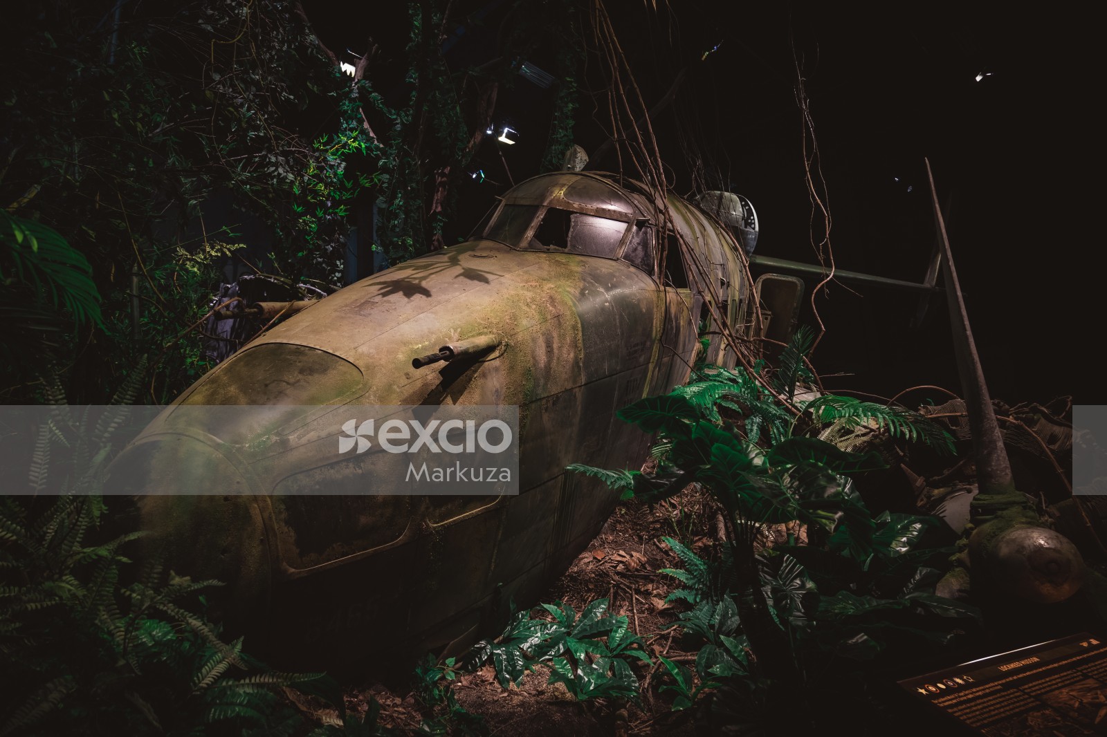 Old aircraft in the jungle