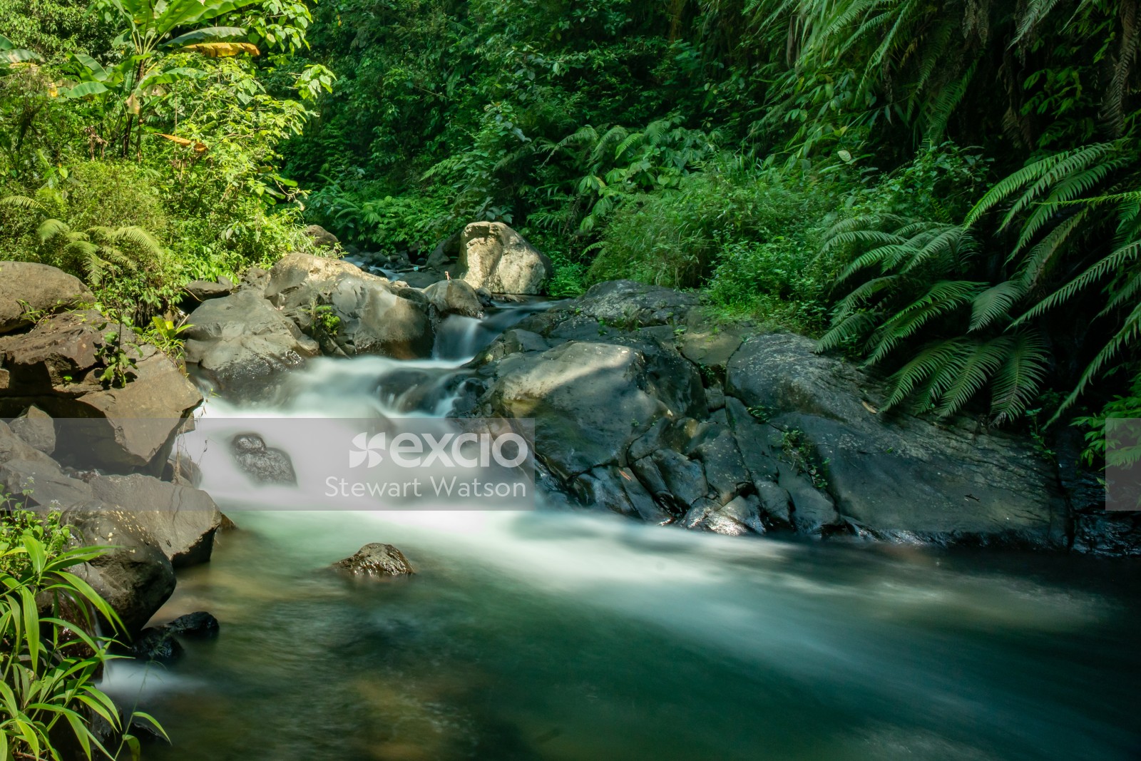 Silky water in the jungle