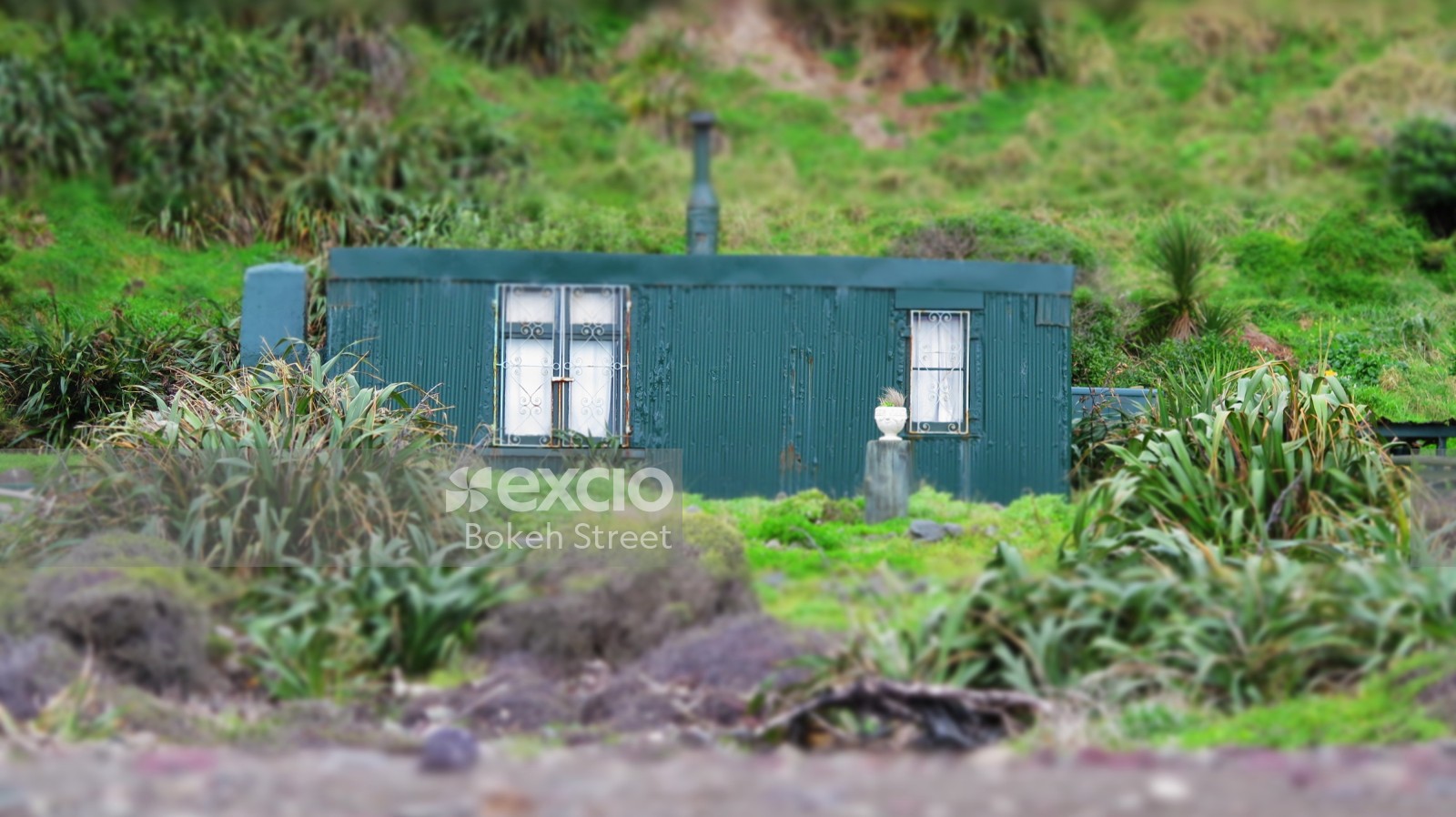 Blue shack on beach surrounded by foliage