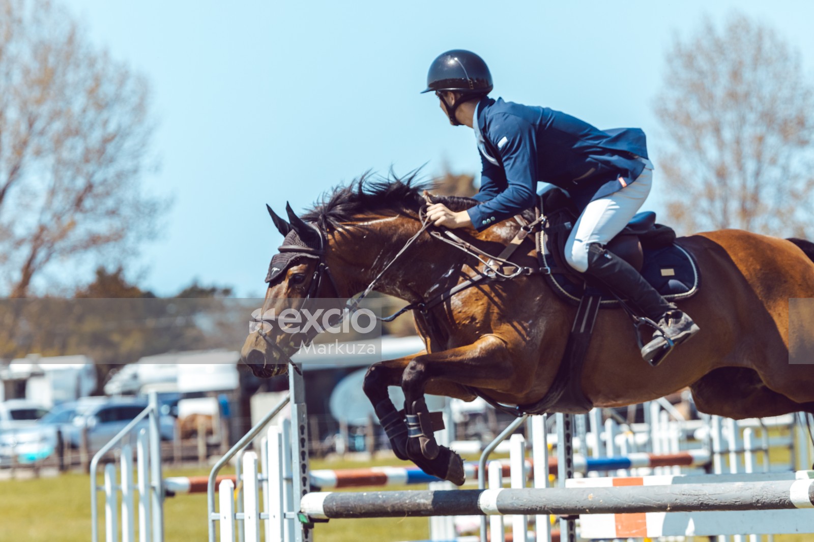 Equestrian jumping competition