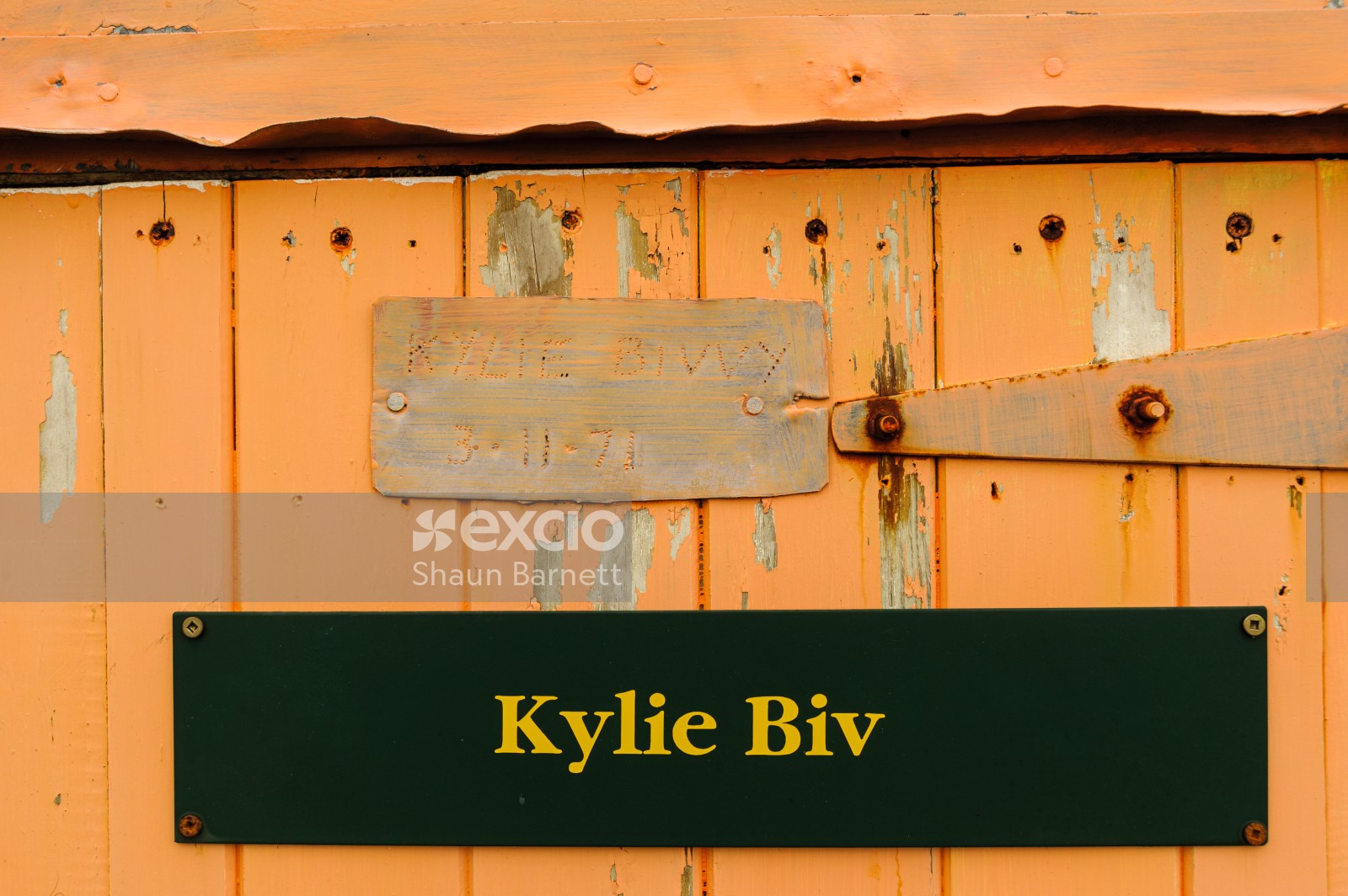 Kylie Biv detail, Ruahine Range