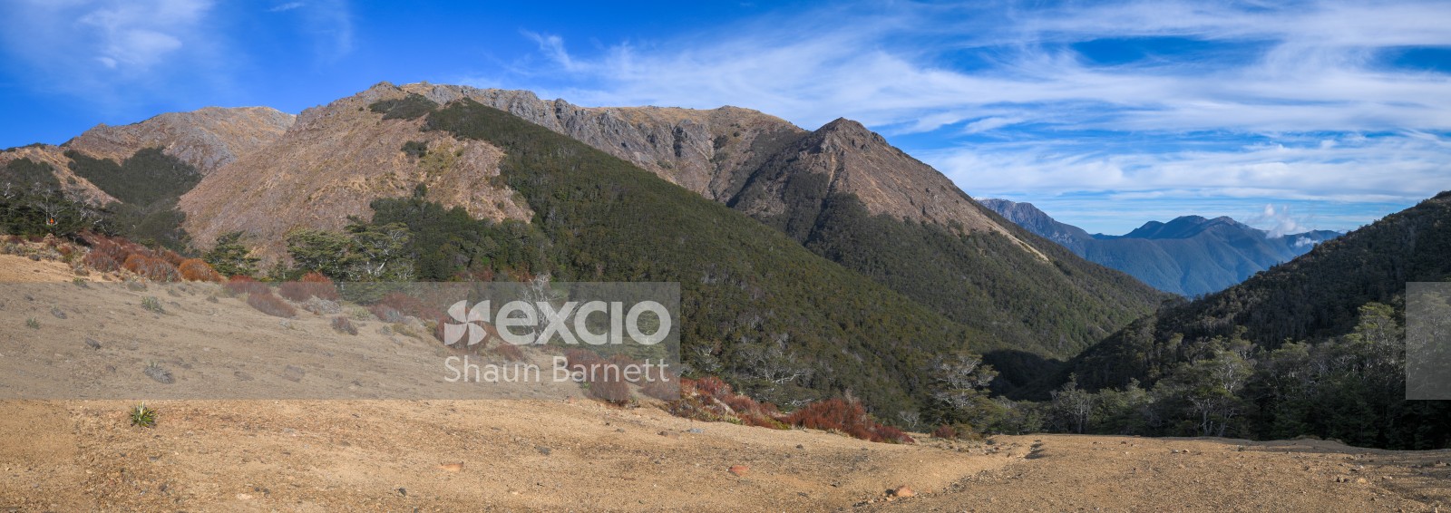 Mt Starveall, Te Araroa Trail
