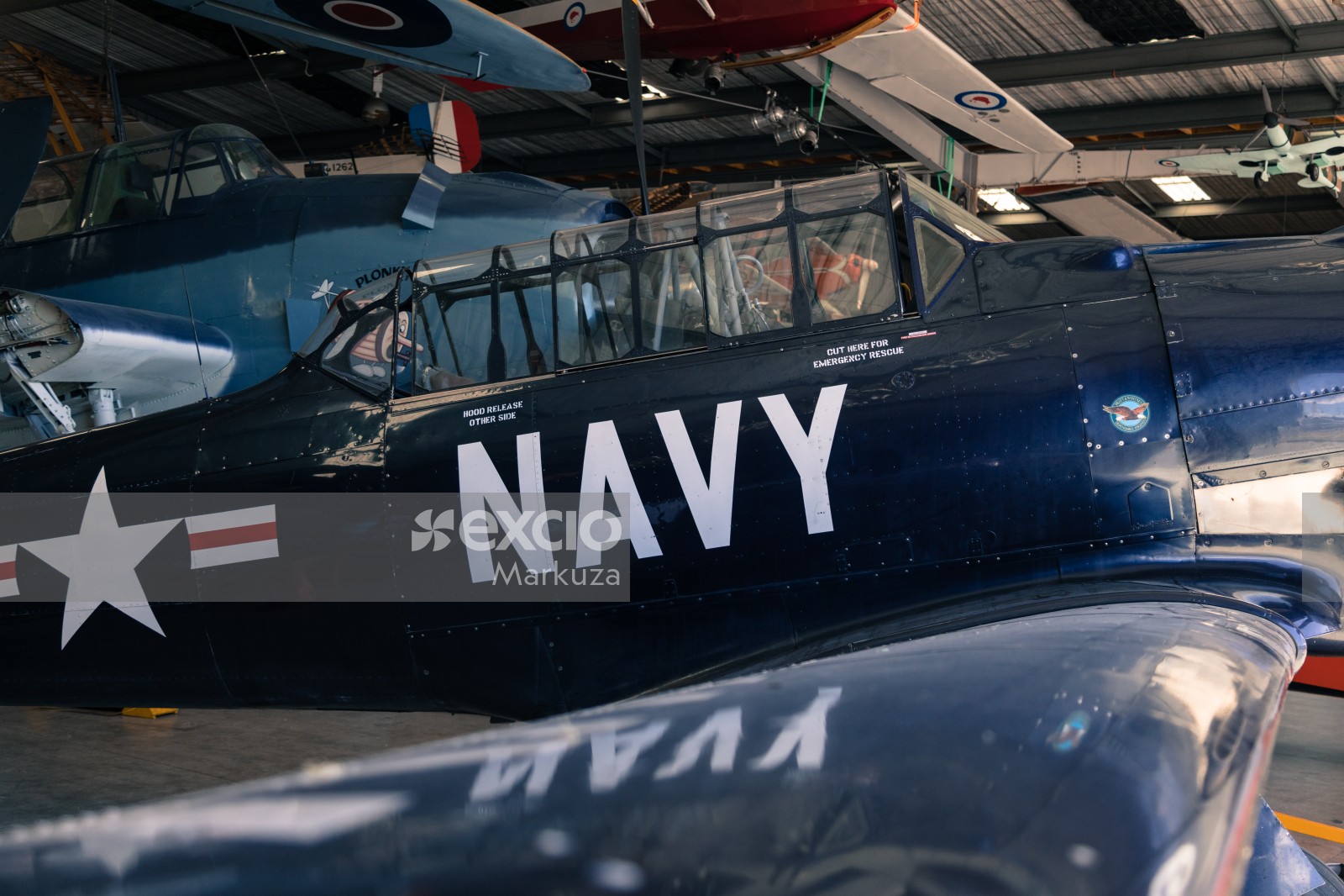 Navy blue warplane