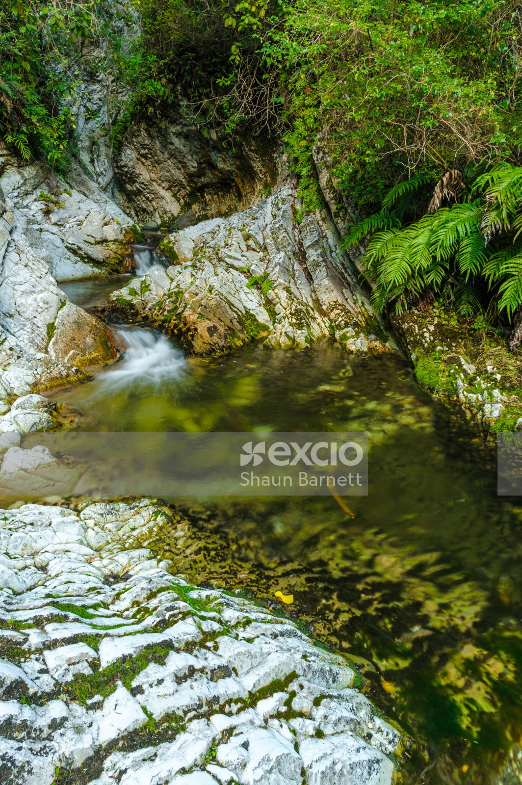 _ESC6301 Limestone gorge, Marlborough