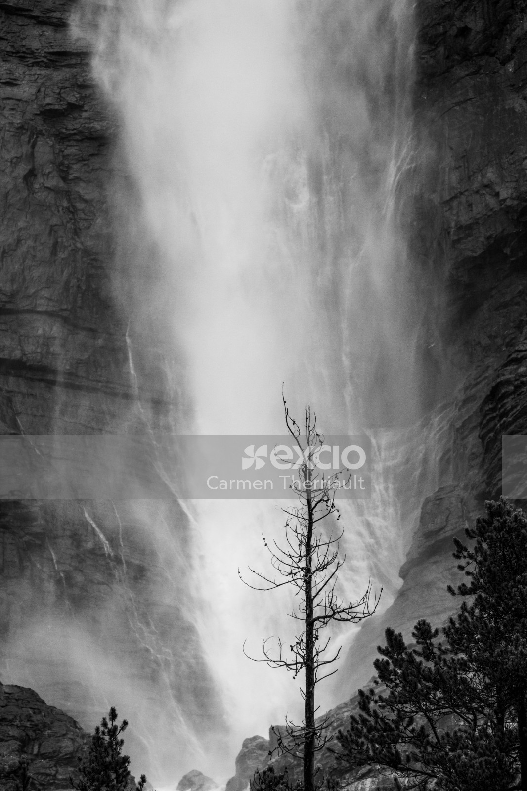 Waterfall in Black and white