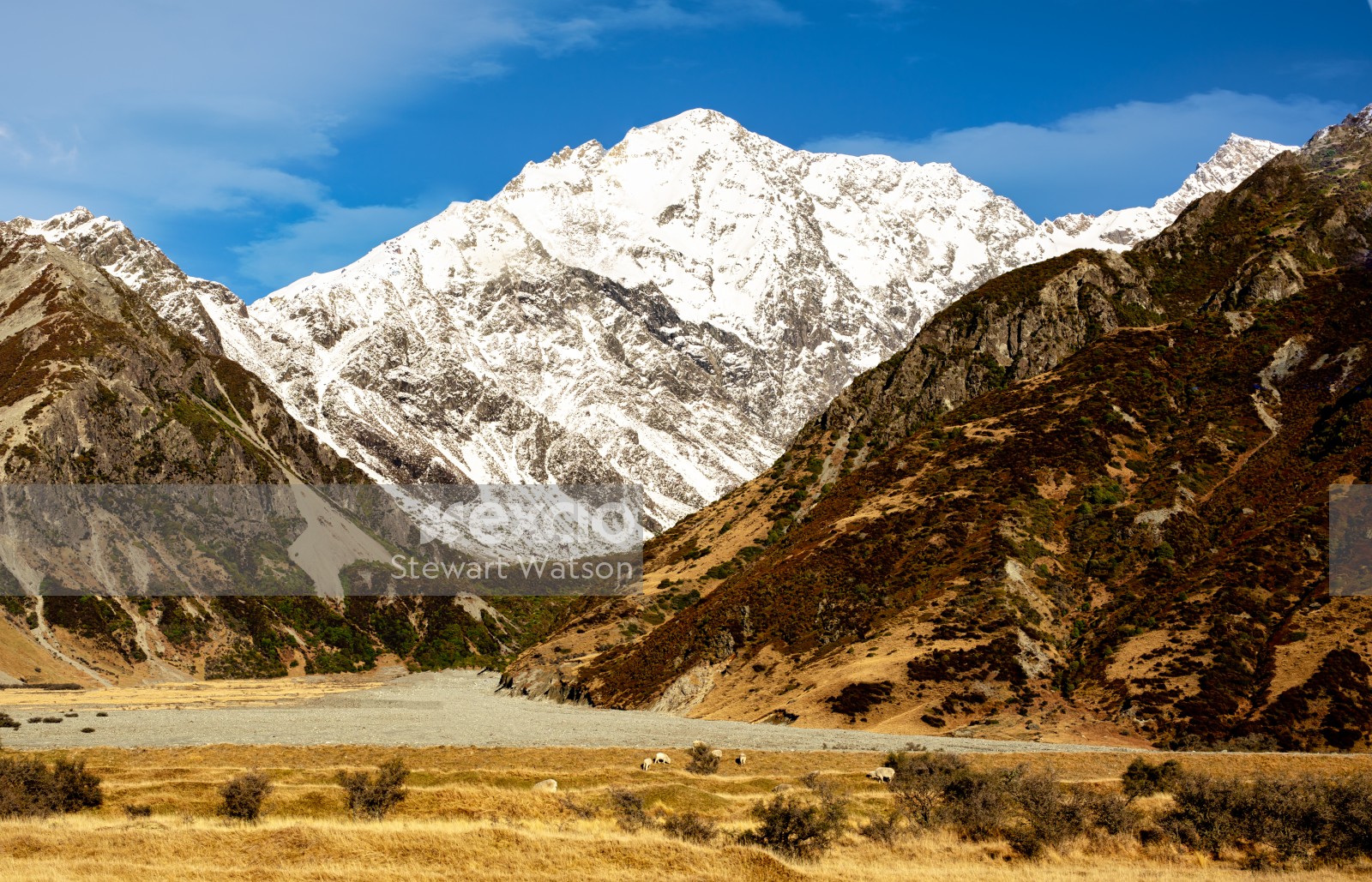 Snow capped Southern Alps in summer